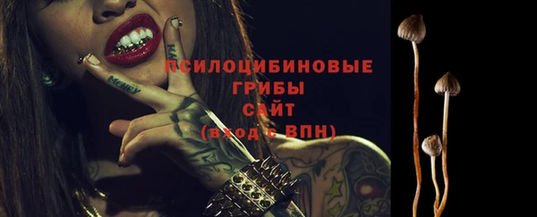 тгк Алексин